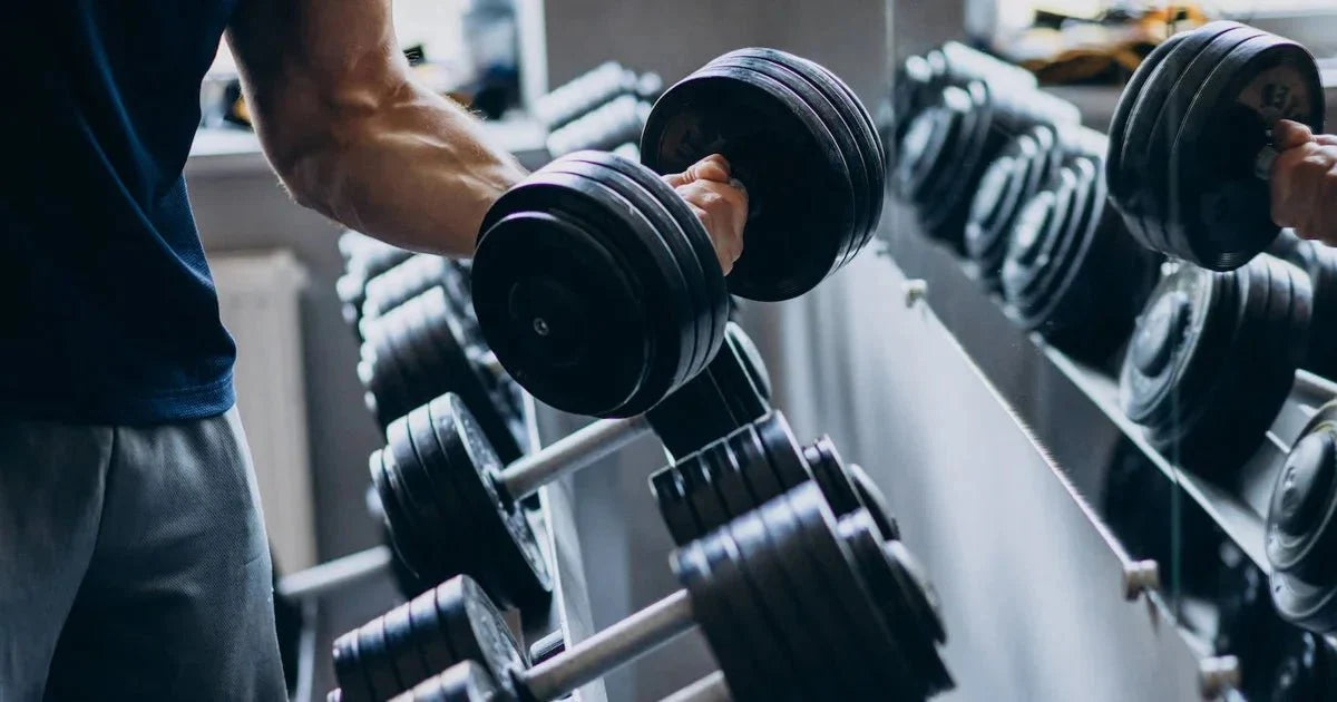 Pesas de entrenamiento
