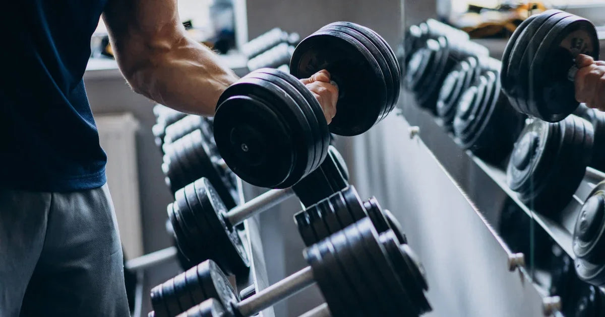 Pesas de entrenamiento