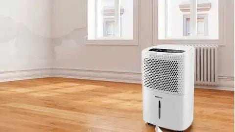 Deshumificadores de hogar