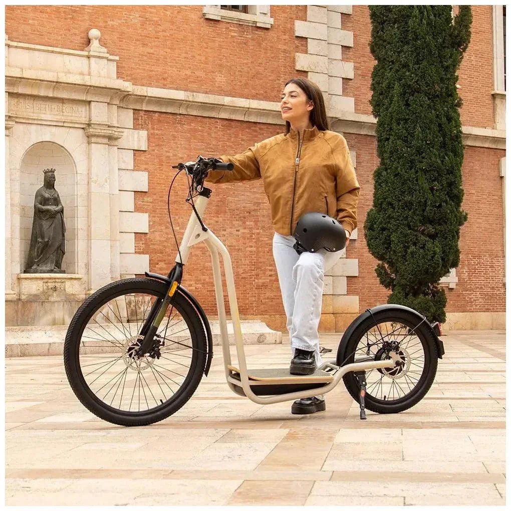 cecotec_07112_bicinete_urban:_bicicleta_eléctrica_1000w__50km_autonomía__cumple_normativa_4