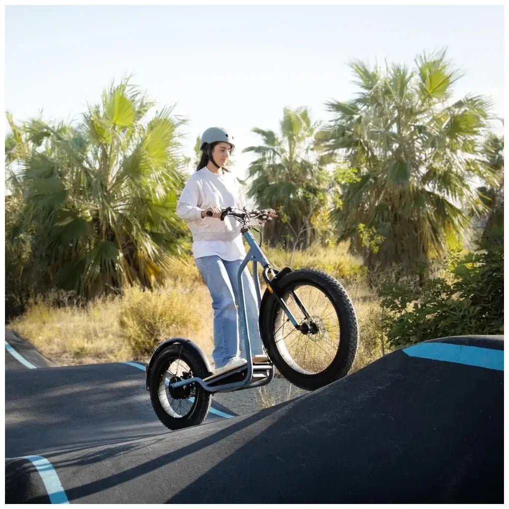 cecotec_07113_bicinete_eléctrico_fat:_potente_motor__gran_autonomía_y_cumple_normativa_española_5