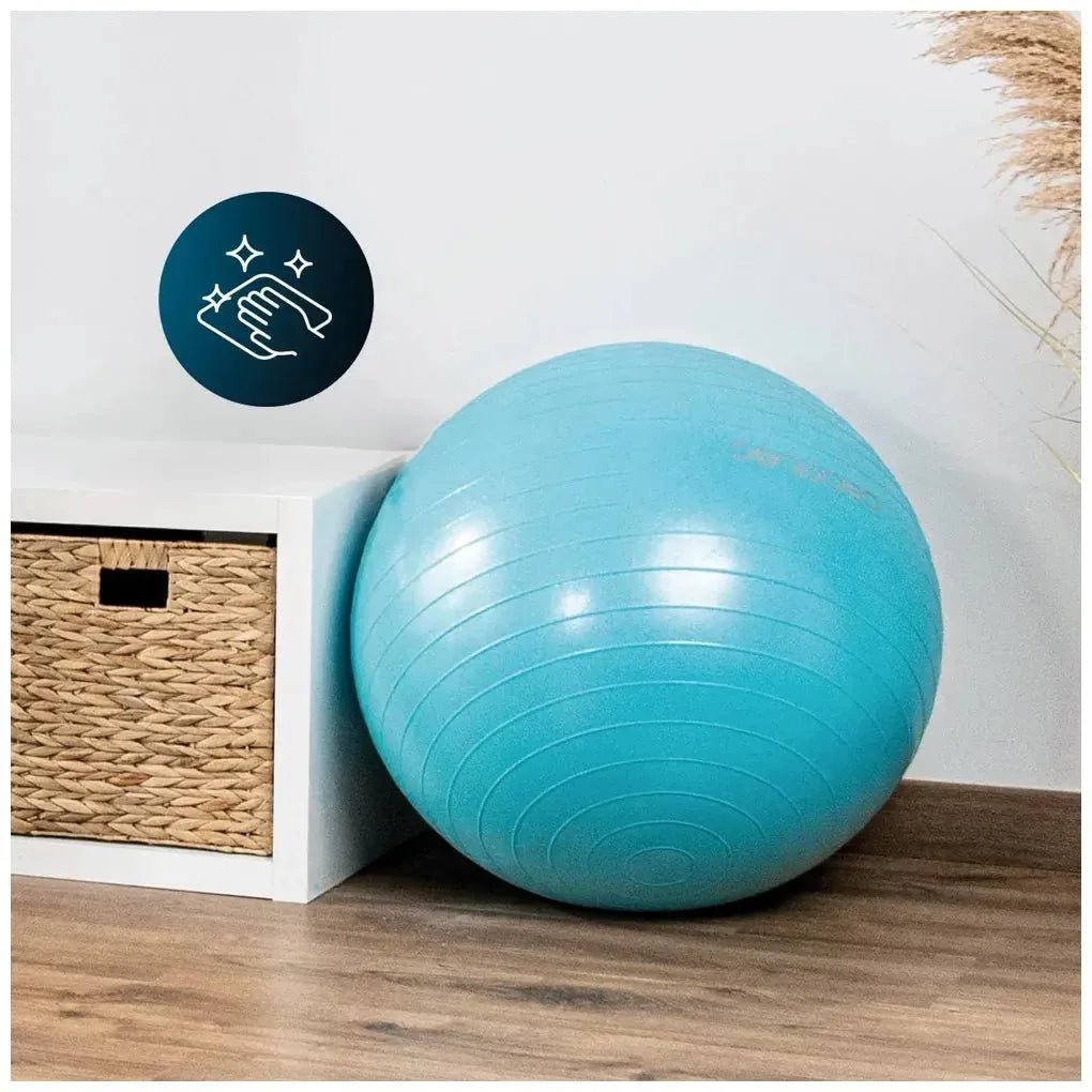 cecotec_07131_pelota_fitness_65cm:_tonifica_y_fortalece_en_casa_con_drumfit_5