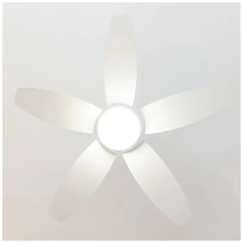 cecotec_08543_ventilador_de_techo_con_luz_led__mando_y_función_verano_invierno__49w__42”_4