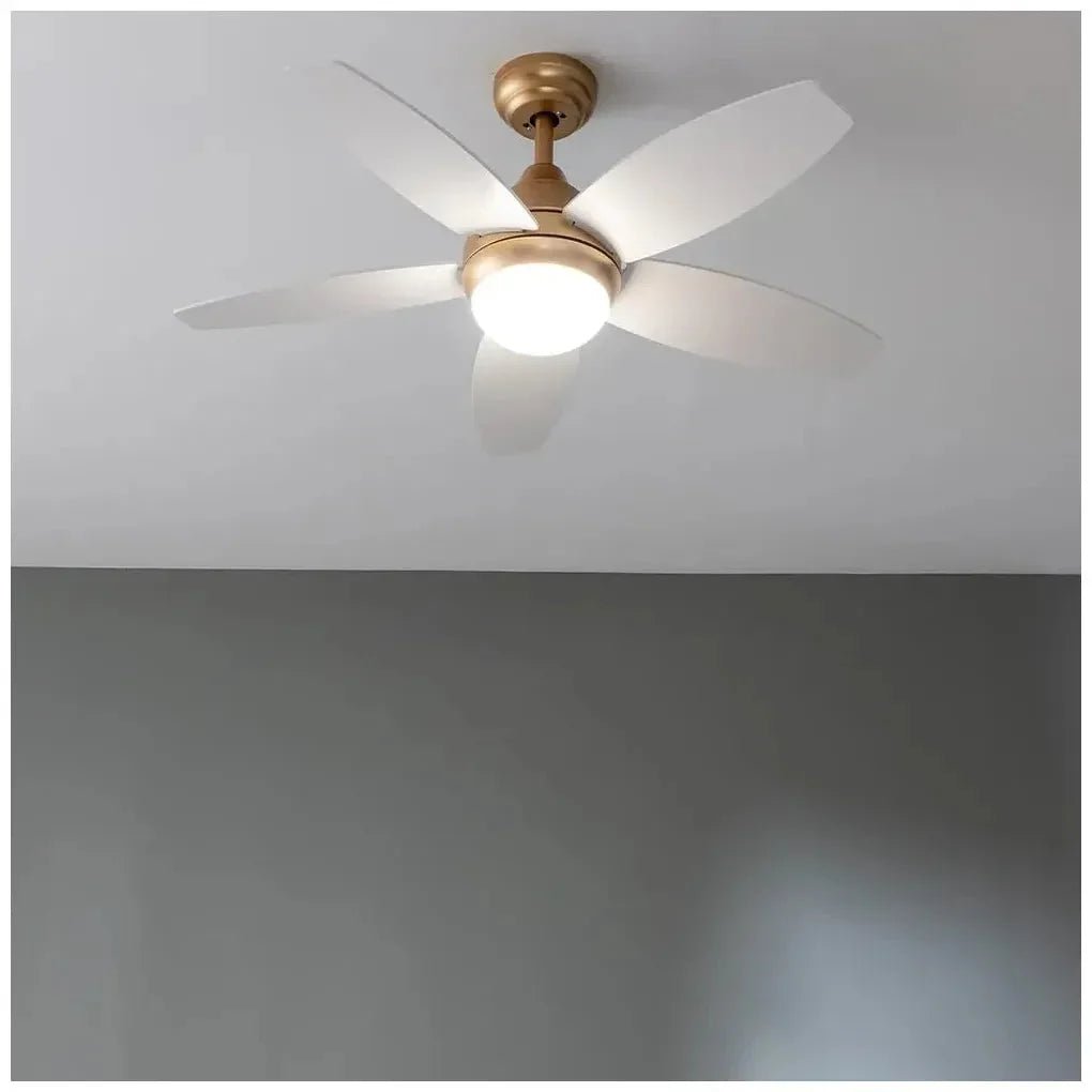 cecotec_08544_ventilador_de_techo_42''_con_luz_led__mando_y_función_verano_invierno_2