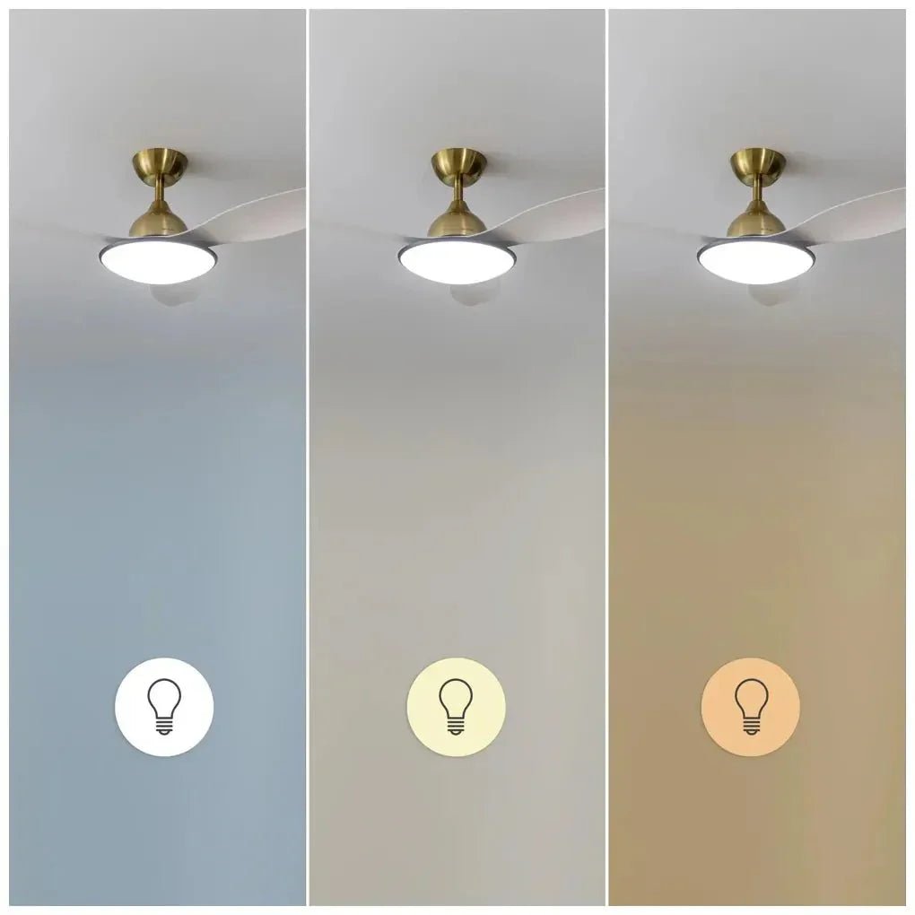 cecotec_08563_ventilador_de_techo_48"_con_motor_dc__luz_led_y_control_remoto_para_todo_el_año_8