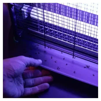 aparato_mata_moscas_y_anti_mosquitos_eléctrico_de_20_w_con_luz_ultravioleta_byefly_5000_destroy_cecotec_3
