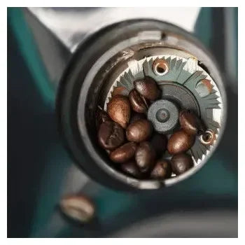 molinillo_eléctrico_de_café_de_150_w_con_250_g_de_capacidad_y_cepillo_limpiador_steelmill_2000_adjust_cecotec_6