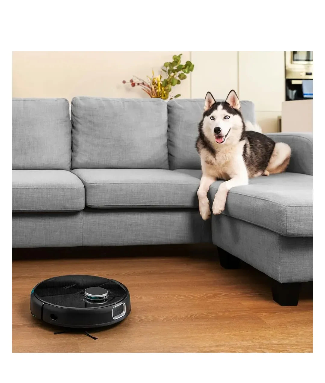 cecotec_product_31_07_2025_05781_0