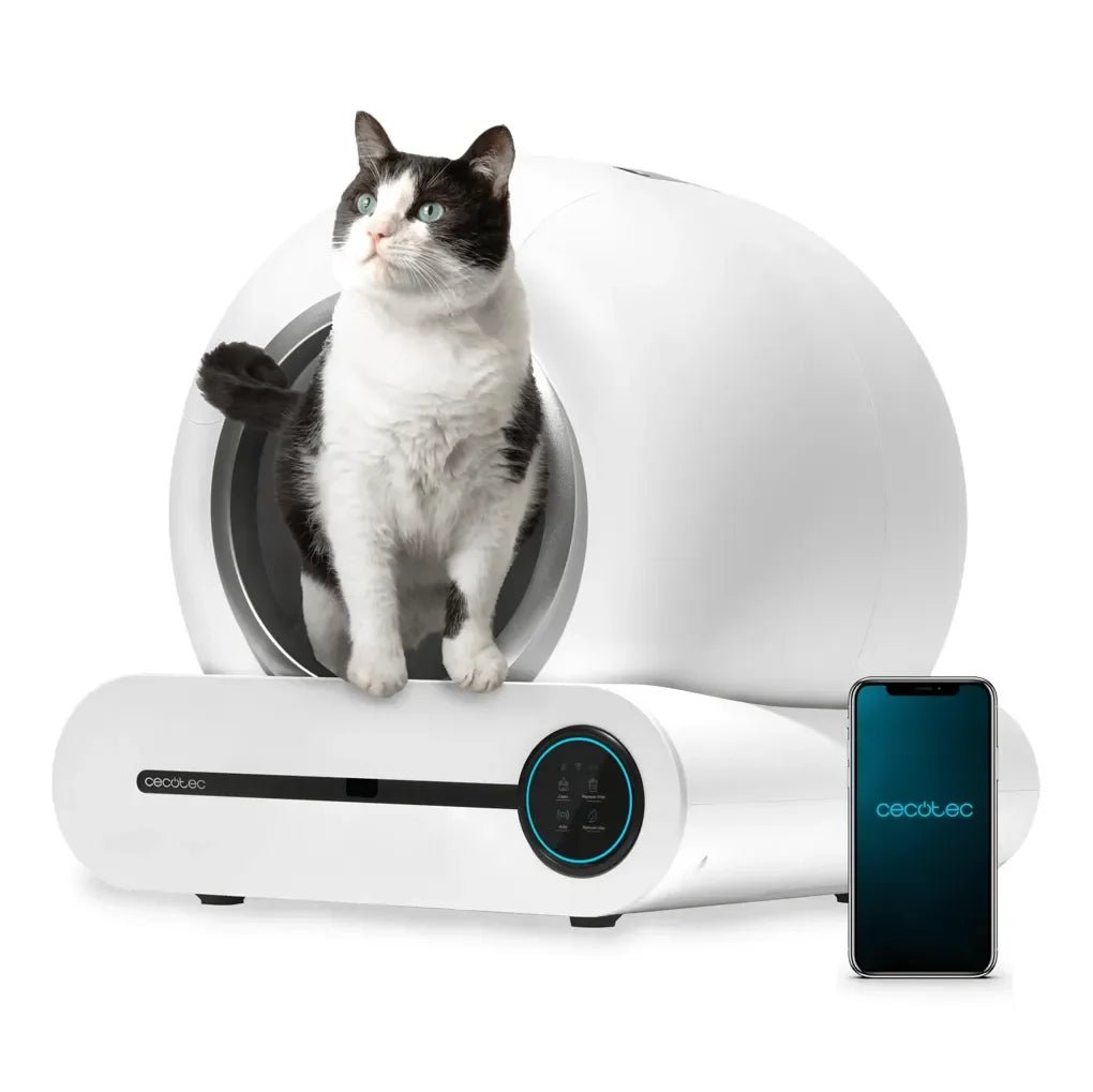 cecotec_product_31_07_2025_09567_1