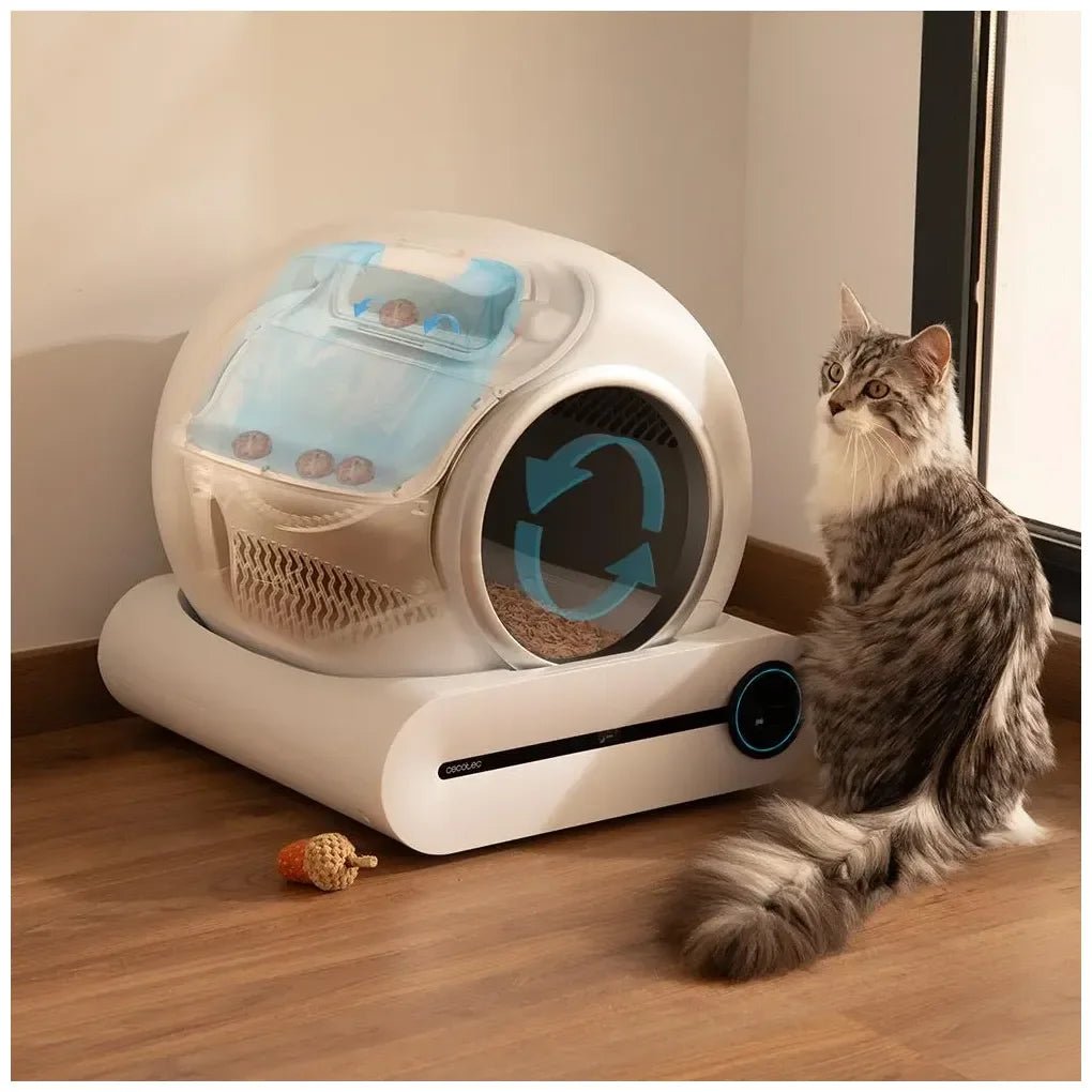 cecotec_product_31_07_2025_09567_2