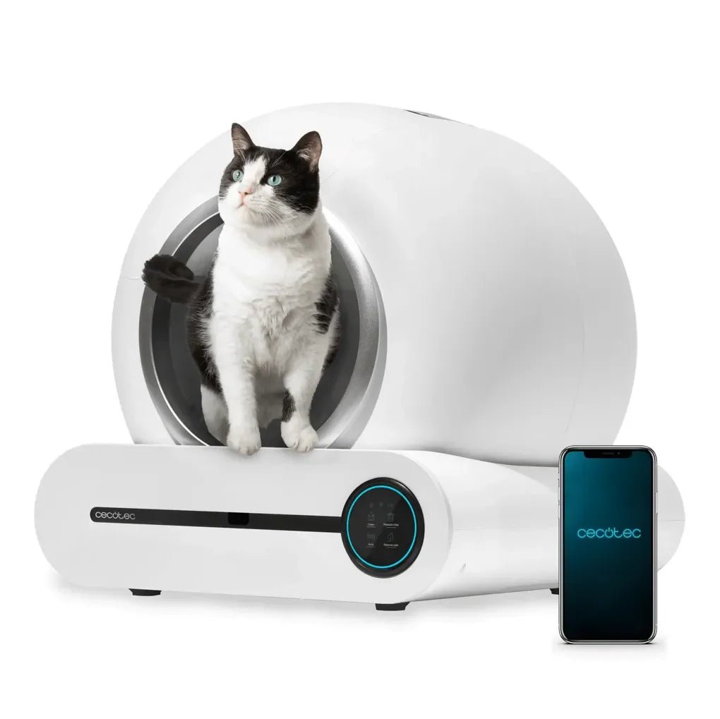 cecotec_product_31_07_2025_A01_EU01_112398_1