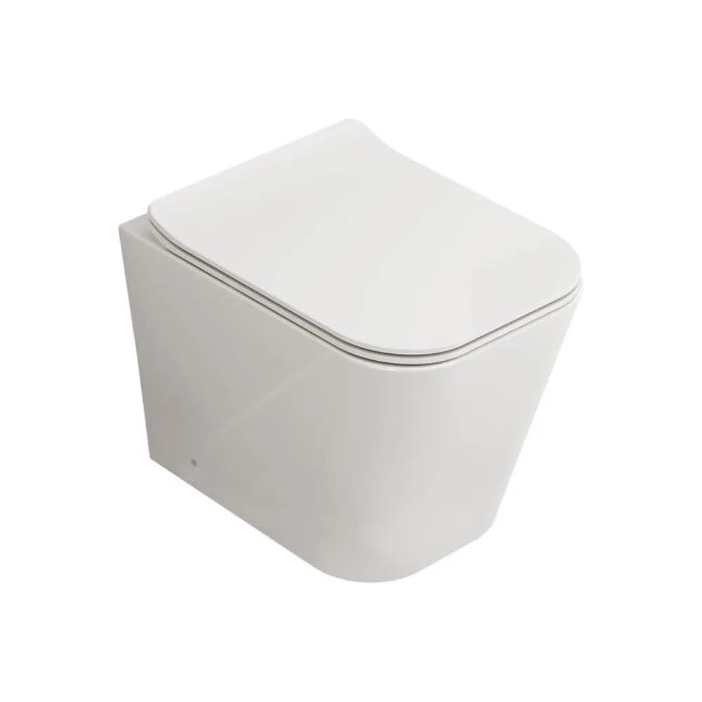 Inodoro Compacto de Suelo Florencia Fossil Natura Blanco Brillo - Vista 1