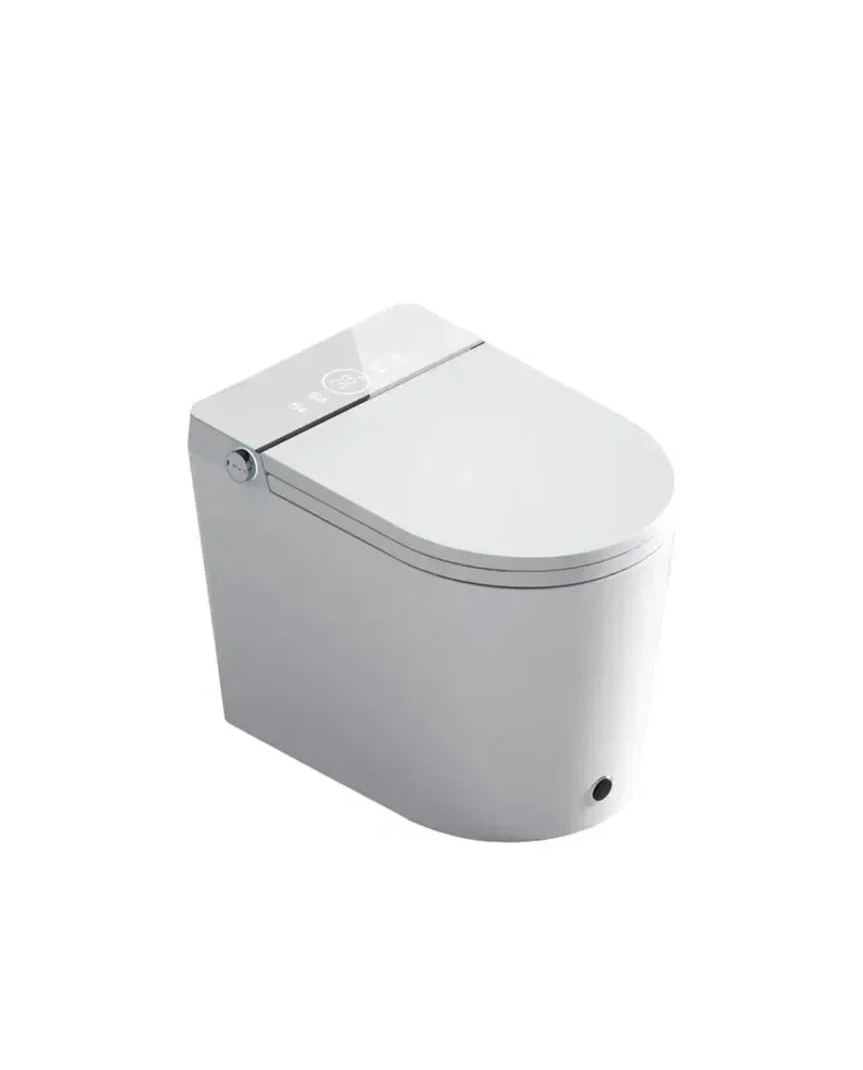 fossil_natura_aquila_inodoro_inteligente_de_ceramica_con_acabado_color_blanco_brillante_y_panel_blanco_03845_1