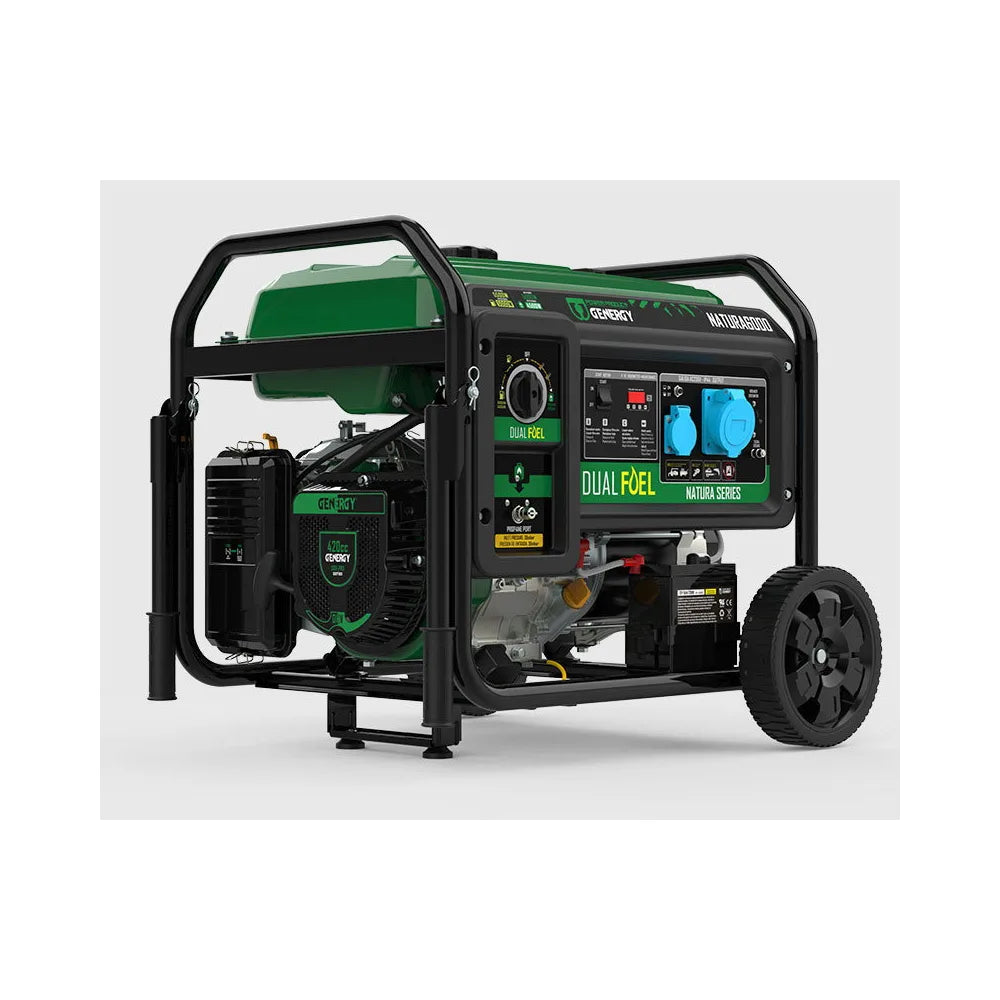 Generador Eléctrico a Gasolina Monofásico 5500 W Doble Combustible Genergy - Vista 1