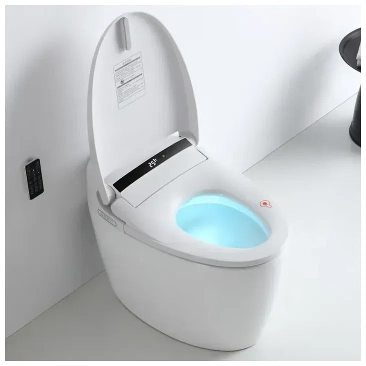 nashi_eira_new_inodoro_japones_ei465_2