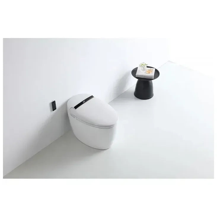 nashi_eira_new_inodoro_japones_ei465_5