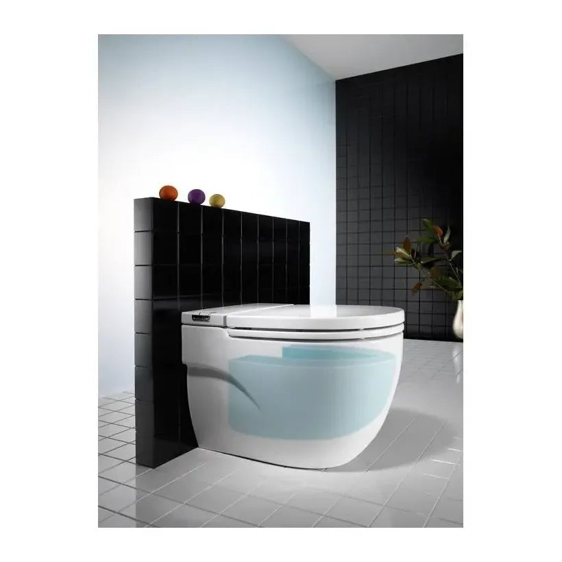 Roca Meridian In Tank Toilette murale de 40 cm de profondeur en porcelaine de couleur blanche