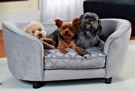 Camas y sofás para mascotas