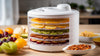 Food dehydrators