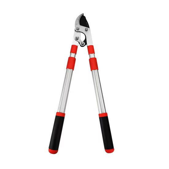 Cizallas y tijeras de podar