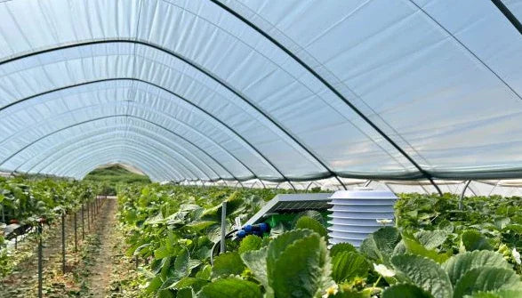 Invernaderos y cobertores