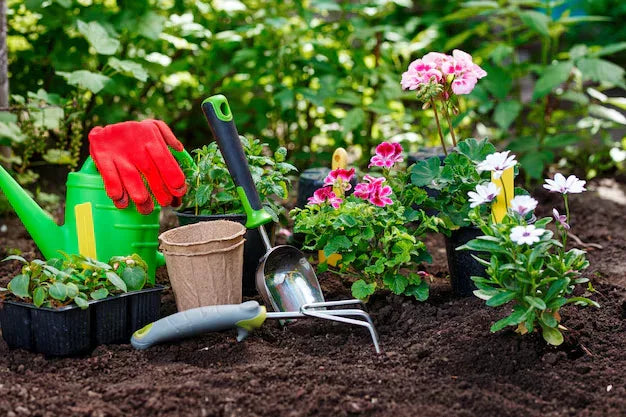 Jardinería y cultivo