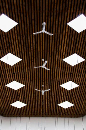 Placas de luz y plafones