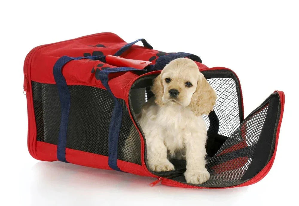 Transportes para animales y mascotas