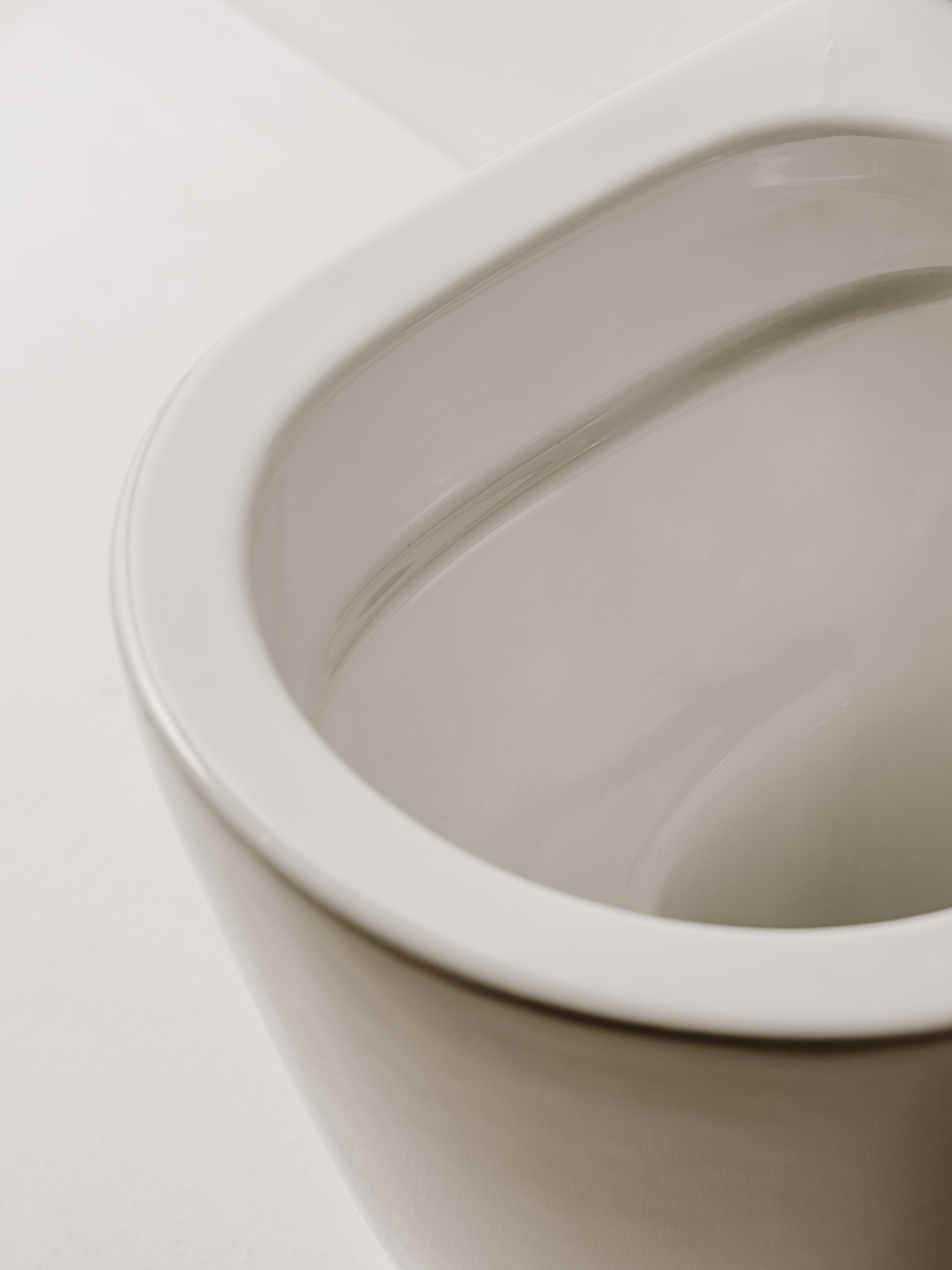 Inodoro de tanque bajo salida dual y diseño adosado a pared en acabado Ona Rimless Roca Blanco Brillo