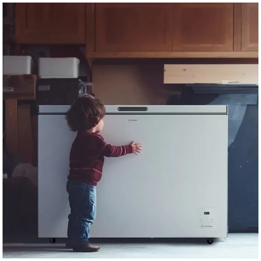 cecotec_01977_congelador_horizontal_254l_con_inverter_plus_y_fast_freezing__clase_e_11