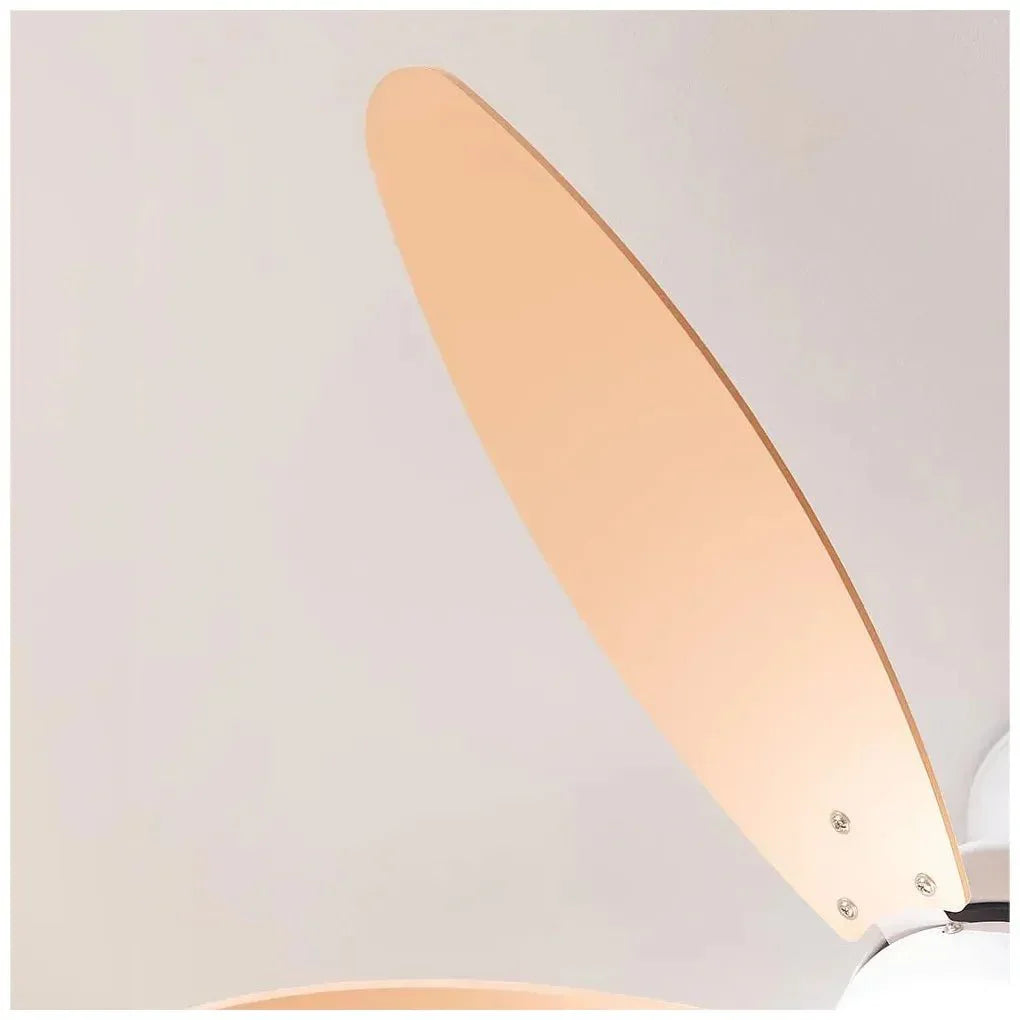 cecotec_05998_ventilador_de_techo_silencioso_con_luz_led__motor_dc_y_control_remoto_7