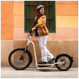 cecotec_07112_bicinete_urban:_bicicleta_eléctrica_1000w__50km_autonomía__cumple_normativa_7