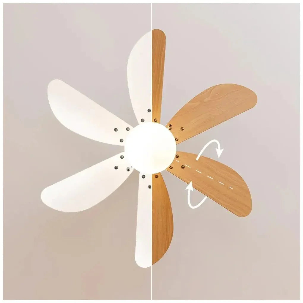 cecotec_08370_ventilador_de_techo_50w_con_lámpara__6_aspas_reversibles_y_modo_invierno_verano_3