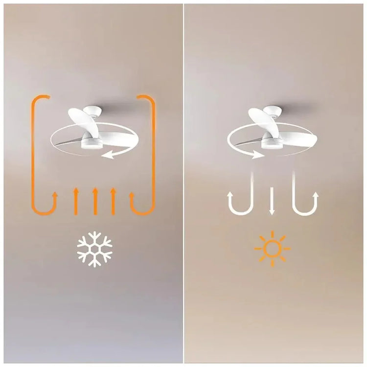 cecotec_08469_ventilador_de_techo_silencioso_con_luz_led__mando_y_función_invierno_verano_9