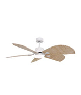 Ventilador de Techo EnergySilence Aero 5290: Eficiencia Silenciosa y Estilo Único de Cecotec