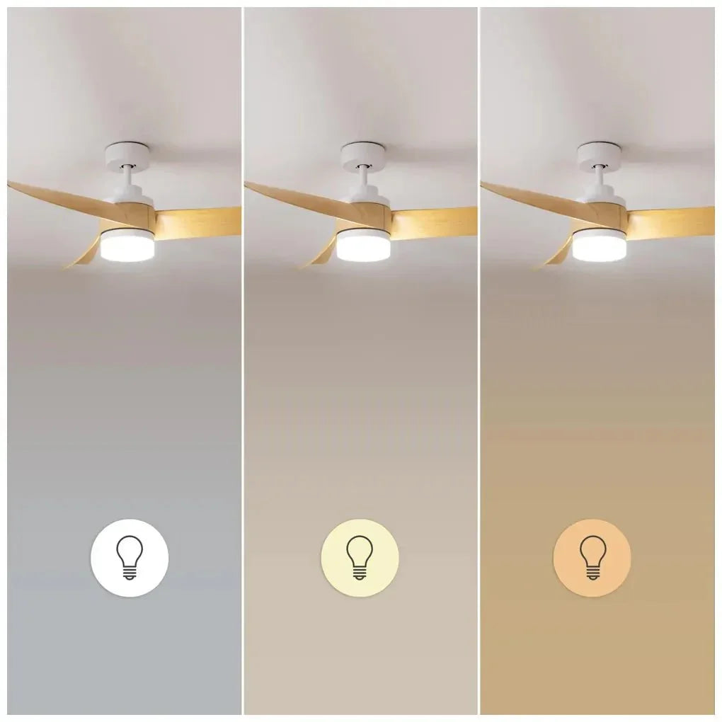cecotec_08475_ventilador_de_techo_silencioso_con_luz_led_y_modo_invierno_verano__52"_8