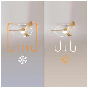 cecotec_08475_ventilador_de_techo_silencioso_con_luz_led_y_modo_invierno_verano__52"_9