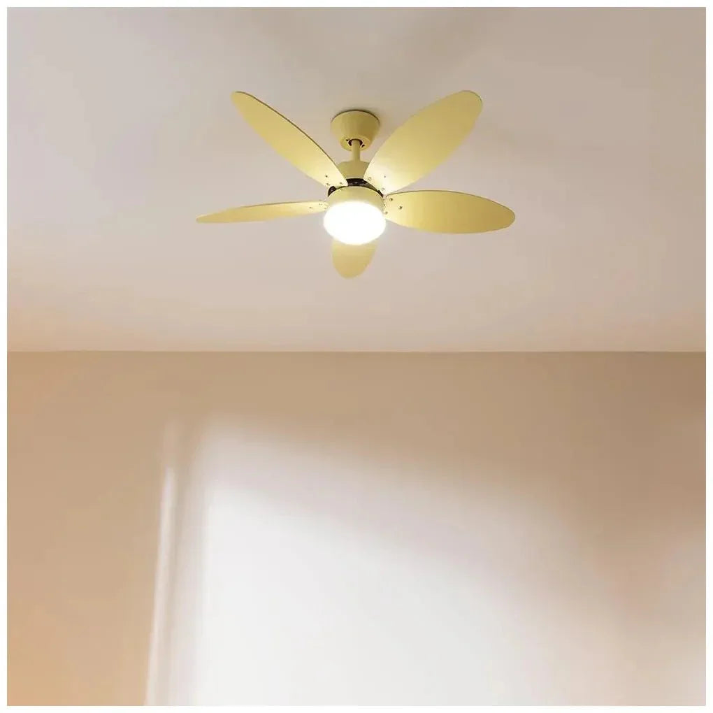 cecotec_08481_ventilador_de_techo_led_40w_con_mando__temporizador_y_función_verano_invierno_2