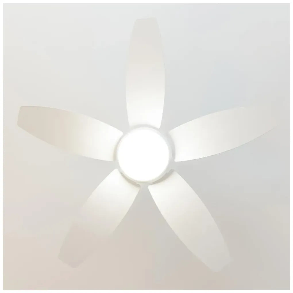 cecotec_08543_ventilador_de_techo_con_luz_led__mando_y_función_verano_invierno__49w__42”_4
