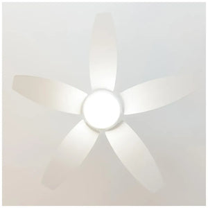 cecotec_08543_ventilador_de_techo_con_luz_led__mando_y_función_verano_invierno__49w__42”_4