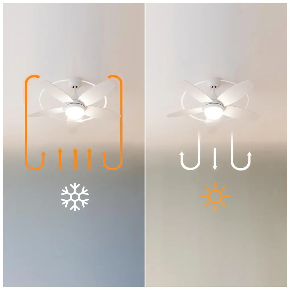 cecotec_08543_ventilador_de_techo_con_luz_led__mando_y_función_verano_invierno__49w__42”_9