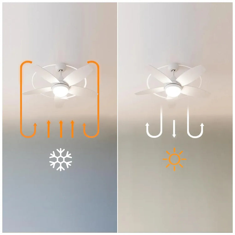 cecotec_08543_ventilador_de_techo_con_luz_led__mando_y_función_verano_invierno__49w__42”_9