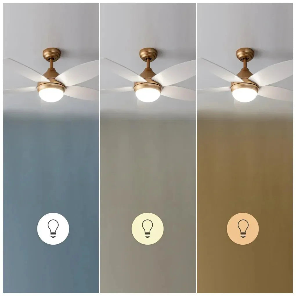 cecotec_08544_ventilador_de_techo_42''_con_luz_led__mando_y_función_verano_invierno_8