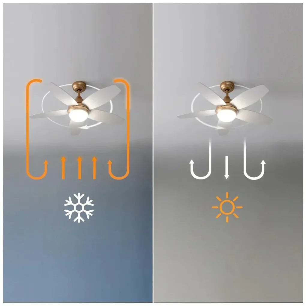 cecotec_08544_ventilador_de_techo_42''_con_luz_led__mando_y_función_verano_invierno_9