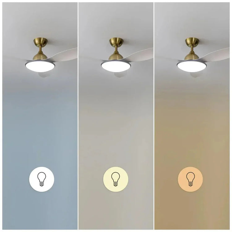 cecotec_08563_ventilador_de_techo_48"_con_motor_dc__luz_led_y_control_remoto_para_todo_el_año_8