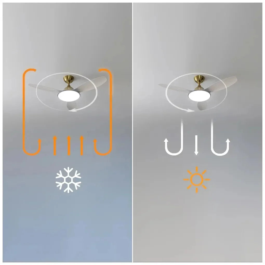 cecotec_08563_ventilador_de_techo_48"_con_motor_dc__luz_led_y_control_remoto_para_todo_el_año_9