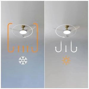 cecotec_08563_ventilador_de_techo_48"_con_motor_dc__luz_led_y_control_remoto_para_todo_el_año_9