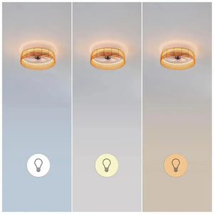 cecotec_08629_ventilador_de_techo_natural_con_motor_dc__luz_led_y_control_remoto_8