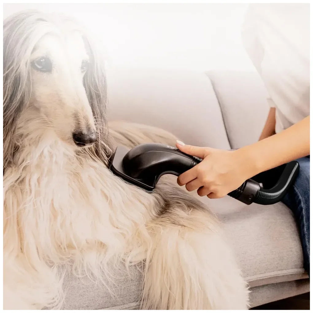 cecotec_a01_eu01_102268_aspirador_vertical_potente_con_autovaciado_y_accesorios_para_mascotas_11