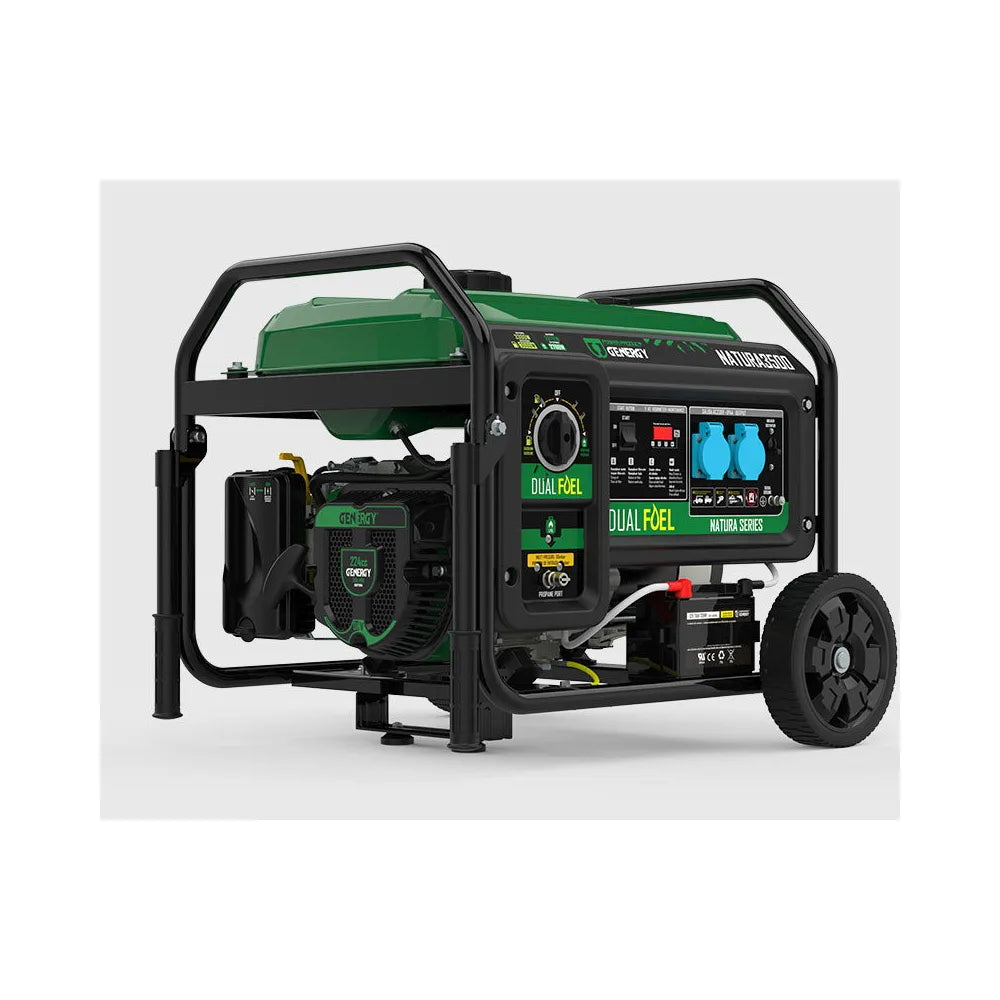 Generador Eléctrico a Gasolina Apoyo Solar Monofásico 3500 W Doble Combustible Genergy - Vista 1